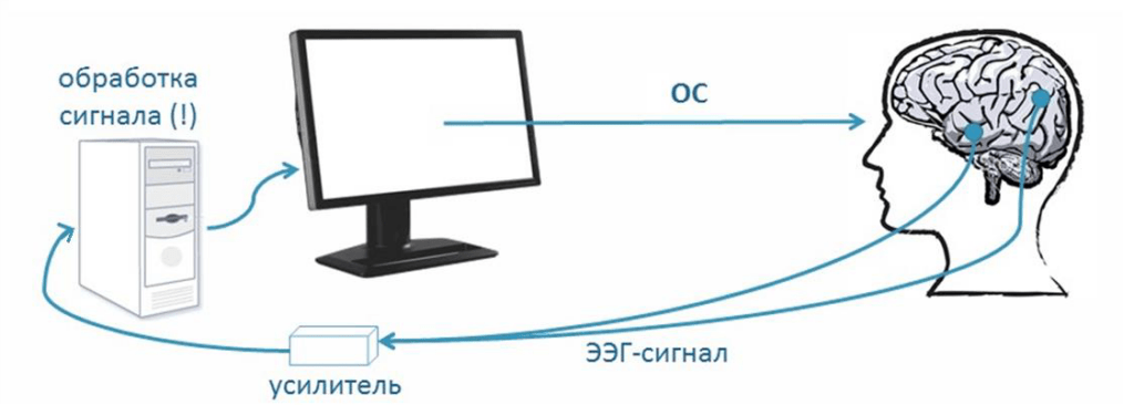 Простыми словами о БОС-терапии